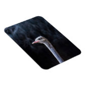 Magnet Flexible portrait d'autruche (Côté Droit)