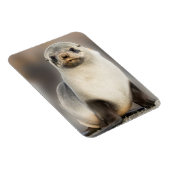 Magnet Flexible Portrait de bébé phoque sur la plage (Côté Droit)