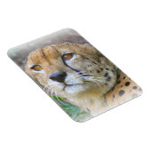 Magnet Flexible Portrait de Cheetah (Côté Droit)