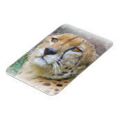 Magnet Flexible Portrait de Cheetah (Côté Gauche)