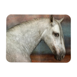 Magnet Flexible Portrait de Cheval Andalou Gris Dappé