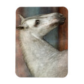 Magnet Flexible Portrait de Cheval Andalou Gris Dappé (Vertical)