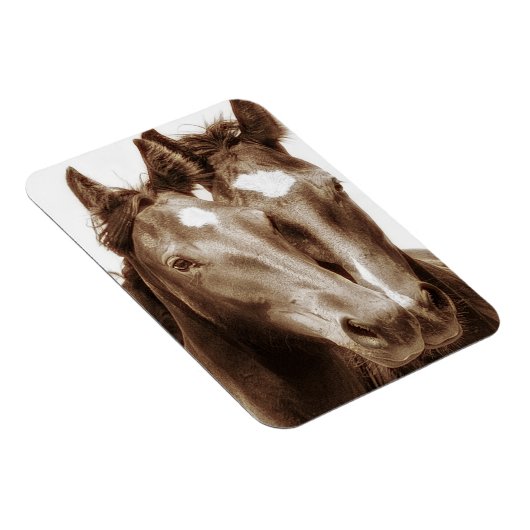 Magnet Flexible Portrait de cheval III (Côté Droit)