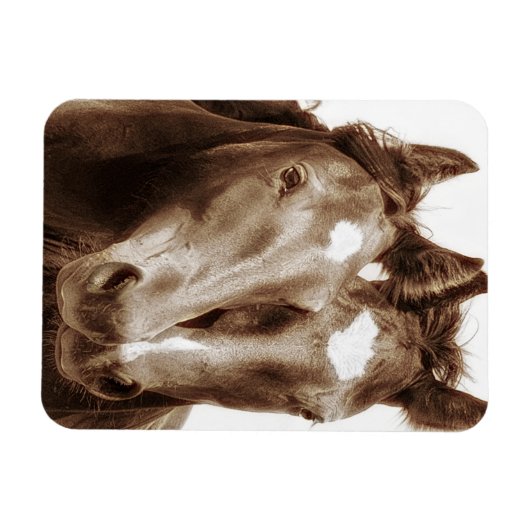Magnet Flexible Portrait de cheval III (Horizontal)