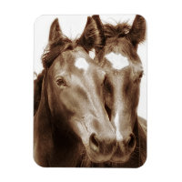 Portrait de cheval III