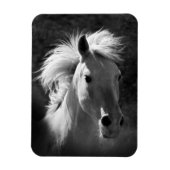 Magnet Flexible Portrait de cheval V (Vertical)