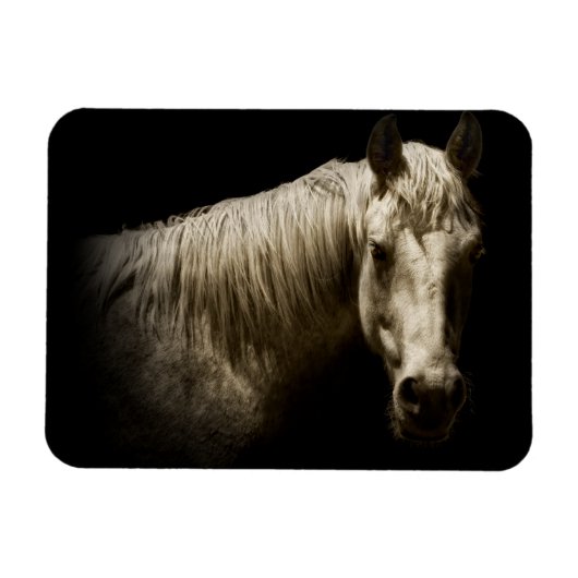 Magnet Flexible Portrait de cheval VI (Horizontal)
