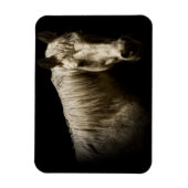 Magnet Flexible Portrait de cheval VI (Vertical)