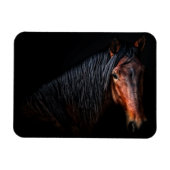 Magnet Flexible Portrait de cheval VII (Horizontal)