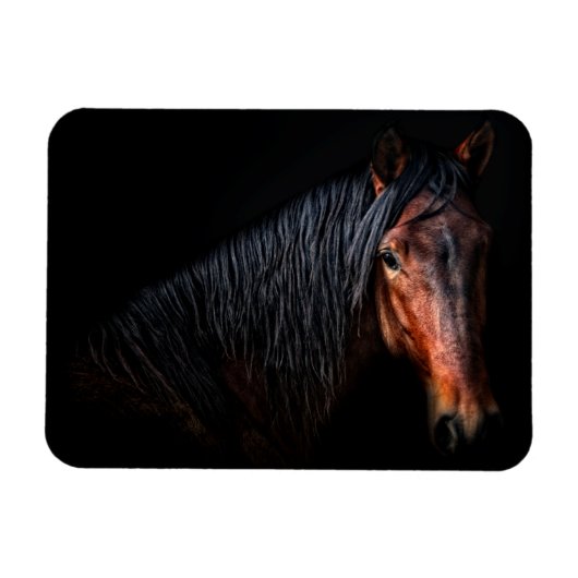 Magnet Flexible Portrait de cheval VII (Horizontal)