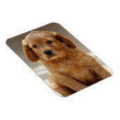 Magnet Flexible Portrait de chiot mignon photo (Côté Droit)