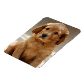 Magnet Flexible Portrait de chiot mignon photo (Côté Gauche)