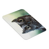 Magnet Flexible Portrait de Chouette de l'Est montrant de grands y (Côté Droit)