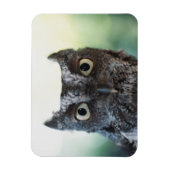 Magnet Flexible Portrait de Chouette de l'Est montrant de grands y (Vertical)