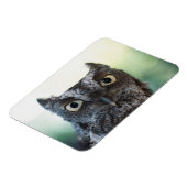 Magnet Flexible Portrait de Chouette de l'Est montrant de grands y (Côté Gauche)