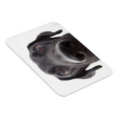 Magnet Flexible Portrait de fermeture Black Labrador (Côté Droit)