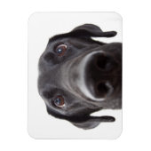 Magnet Flexible Portrait de fermeture Black Labrador (Vertical)