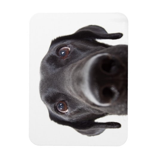 Magnet Flexible Portrait de fermeture Black Labrador (Vertical)