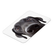 Magnet Flexible Portrait de fermeture Black Labrador (Côté Gauche)
