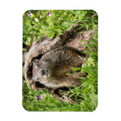 Magnet Flexible Portrait de fond dans un journal creux (Vertical)