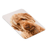 Magnet Flexible Portrait de Goldendoodle Studio (Côté Droit)