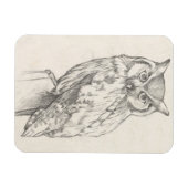 Magnet Flexible Portrait de hibou - Croquis (Horizontal)