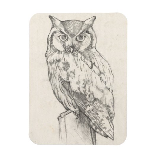 Magnet Flexible Portrait de hibou - Croquis (Vertical)