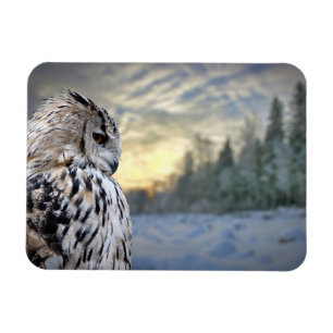 Magnet Flexible Portrait de hibou sur l'arrière - plan forestier d