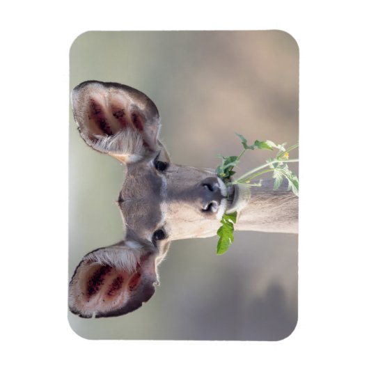 Magnet Flexible Portrait de Kudu (Vertical)