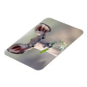 Magnet Flexible Portrait de Kudu (Côté Gauche)