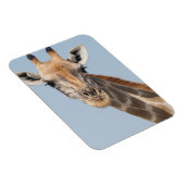 Magnet Flexible Portrait de la Girafe angolaise (Côté Droit)
