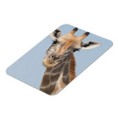 Magnet Flexible Portrait de la Girafe angolaise (Côté Gauche)