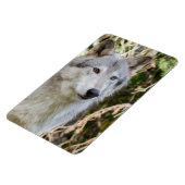 Magnet Flexible Portrait de loup (Côté Gauche)