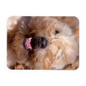 Magnet Flexible Portrait de Terrier roux à revêtement souple (Horizontal)