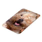 Magnet Flexible Portrait de Terrier roux à revêtement souple (Côté Gauche)