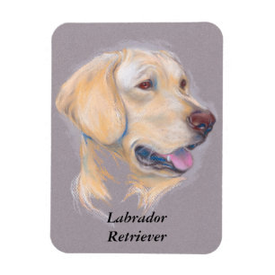 Magnet Flexible Portrait de trieur du Labrador jaune