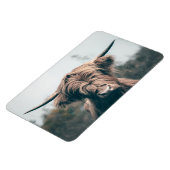 Magnet Flexible Portrait de vache Highland (Côté Gauche)