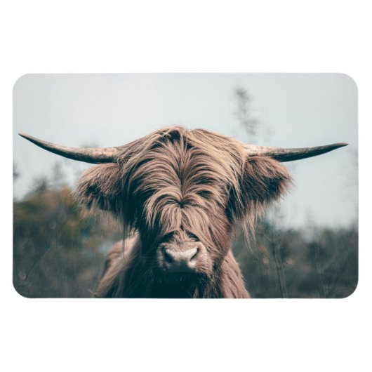 Magnet Flexible Portrait de vache Highland (Horizontal)