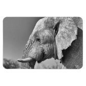 Magnet Flexible Portrait d'éléphant (Horizontal)