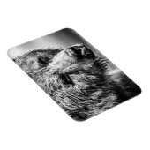 Magnet Flexible Portrait d'ours grizzli (Côté Droit)