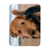 Magnet Flexible Portrait d'un Airedale Terrier (Vertical)
