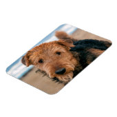 Magnet Flexible Portrait d'un Airedale Terrier (Côté Gauche)
