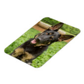 Magnet Flexible Portrait d'un berger allemand (Côté Gauche)