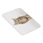 Magnet Flexible Portrait d'un chaton (Côté Droit)
