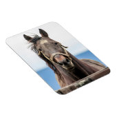 Magnet Flexible Portrait d'un cheval (Côté Droit)