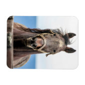 Magnet Flexible Portrait d'un cheval (Horizontal)