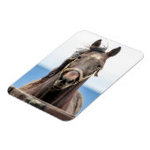 Magnet Flexible Portrait d'un cheval (Côté Gauche)