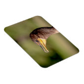 Magnet Flexible Portrait d'un Cormorant (Côté Droit)