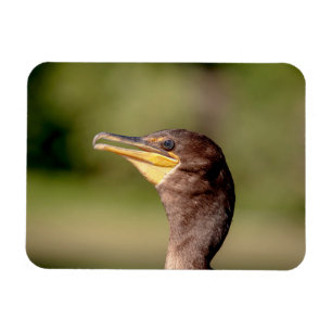 Magnet Flexible Portrait d'un Cormorant