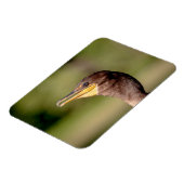 Magnet Flexible Portrait d'un Cormorant (Côté Gauche)